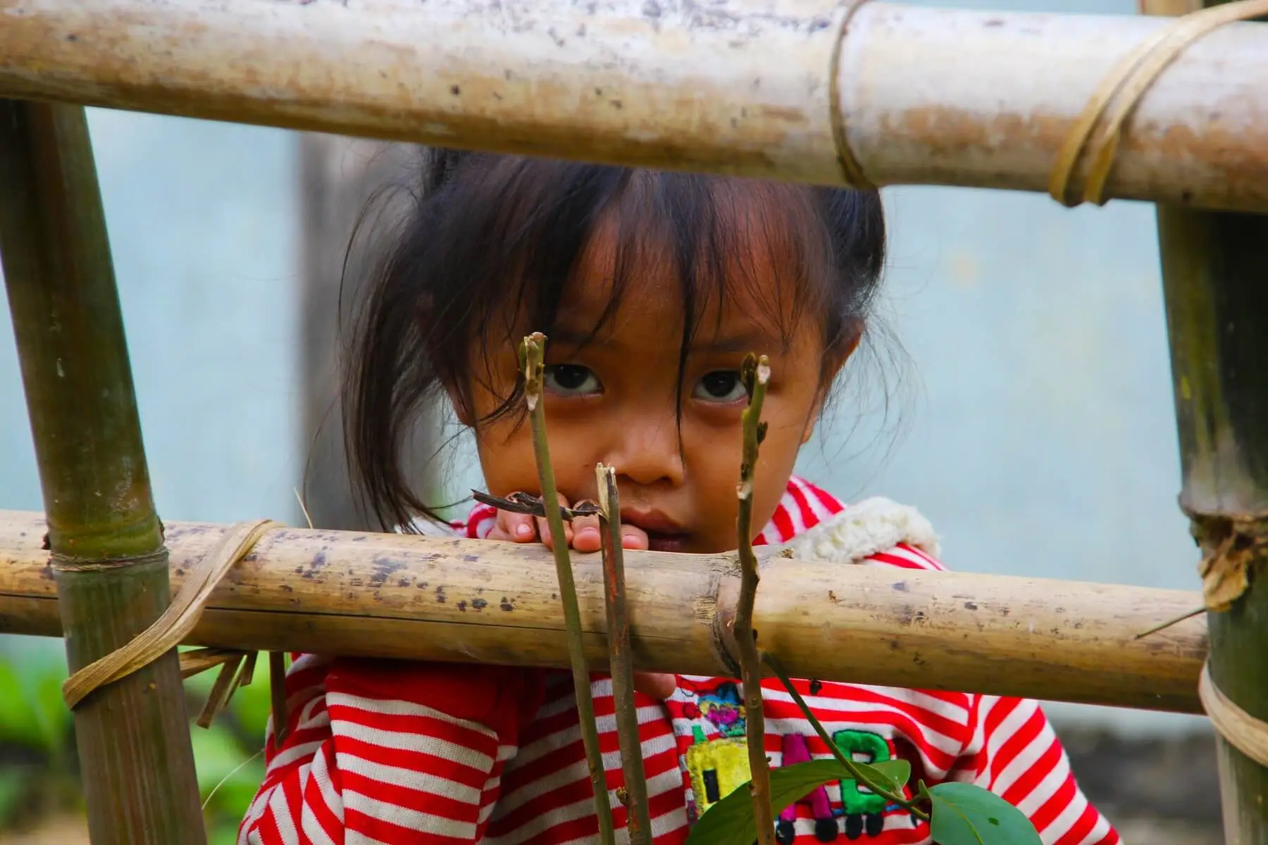 Give donation for poor children